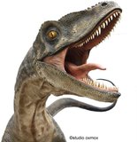 [Oxmox] Deinonychus 1/1 "Version 1" et "Version 2" Th_dino_lifesize_3_x