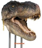 [Oxmox] T-Rex Head 1/1 Th_trex-head-oxmox-xl11