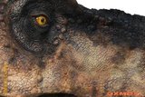 [Oxmox] T-Rex Head 1/1 Th_trex-head-oxmox-xl6