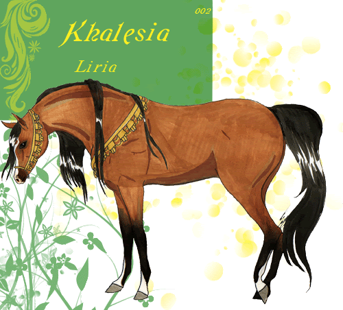 Liria's Horse Herd 002Khalesia