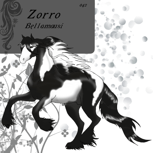 Bella's Herd: The Wild Sierra's 042Zorro