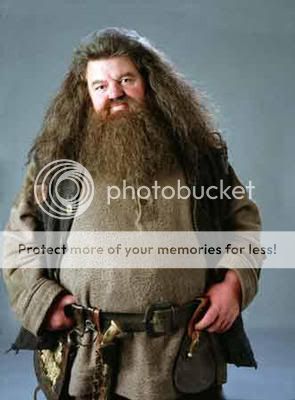 View a character sheet Hagrid