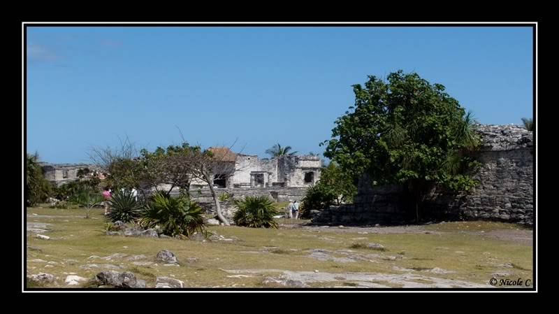 Séjour au Catalonia Royal Tulum (Février 2010) DSCN2329_GF