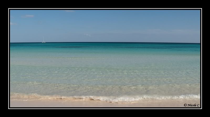 Séjour au Catalonia Royal Tulum (Février 2010) DSCN2386_GF