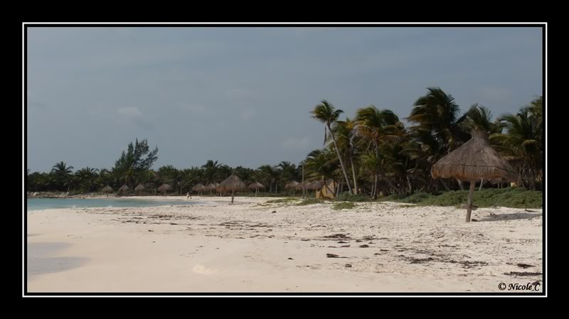 Séjour au Catalonia Royal Tulum (Février 2010) DSCN2483_GF