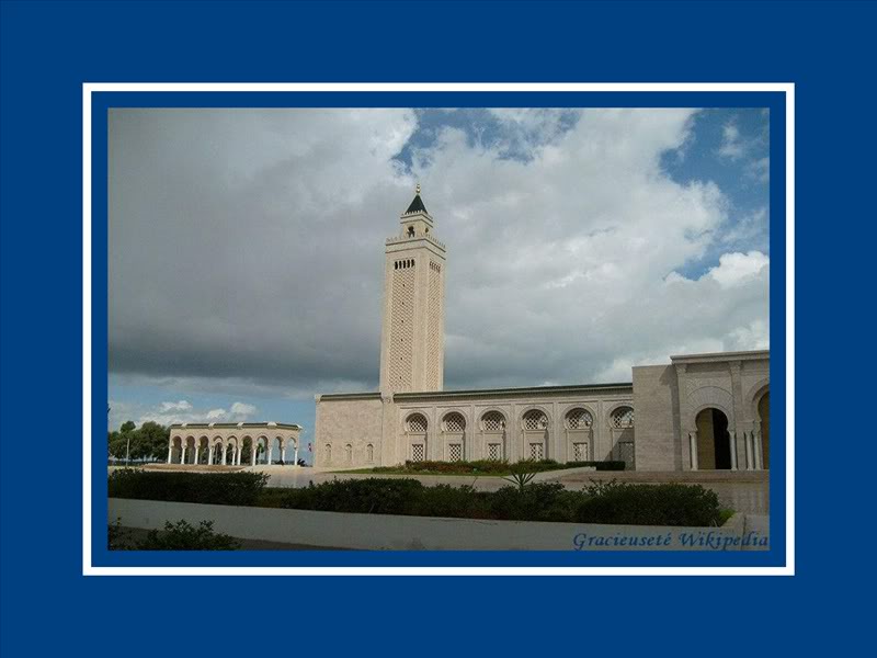 Tunisie – Yasmine-Hammamet (9-23 octobre 2010) 800px-Facade_sud_Abidine_GF