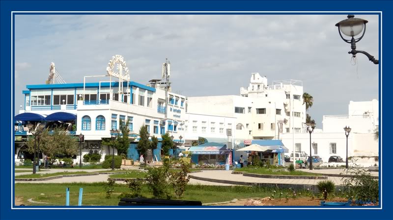 Tunisie – Yasmine-Hammamet (9-23 octobre 2010) DSCN2678_GF