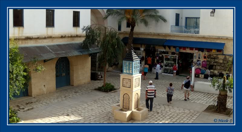 Tunisie – Yasmine-Hammamet (9-23 octobre 2010) DSCN2739_GF