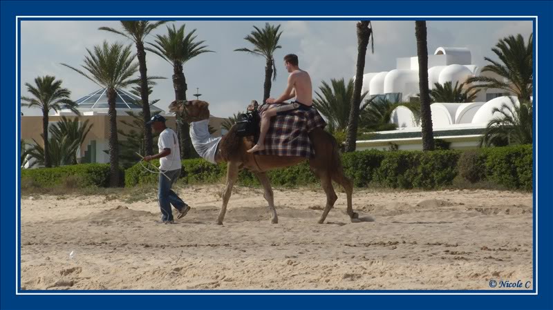 Tunisie – Yasmine-Hammamet (9-23 octobre 2010) DSCN2901_GF