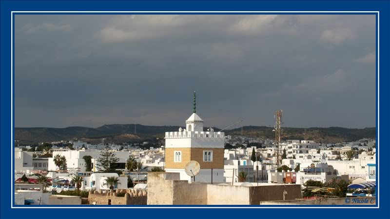 Tunisie – Yasmine-Hammamet (9-23 octobre 2010) DSCN2981_GF