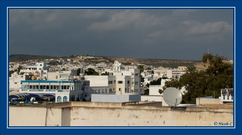 Tunisie – Yasmine-Hammamet (9-23 octobre 2010) DSCN2991_GF