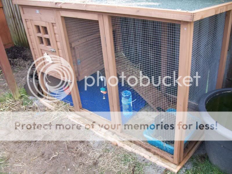 Rabbit hutch/coop 001-13