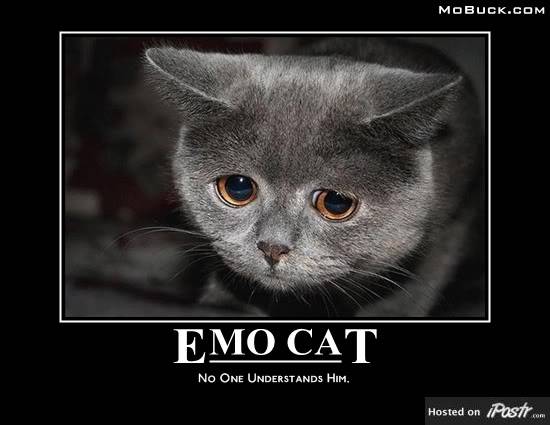 Funny Pics EmoCat