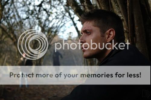 Jensen en imagenes... - Pgina 13 2603924955_edb42d8df5