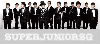 [AFF UNDER PREMIN] SUPER JUNIOR SG