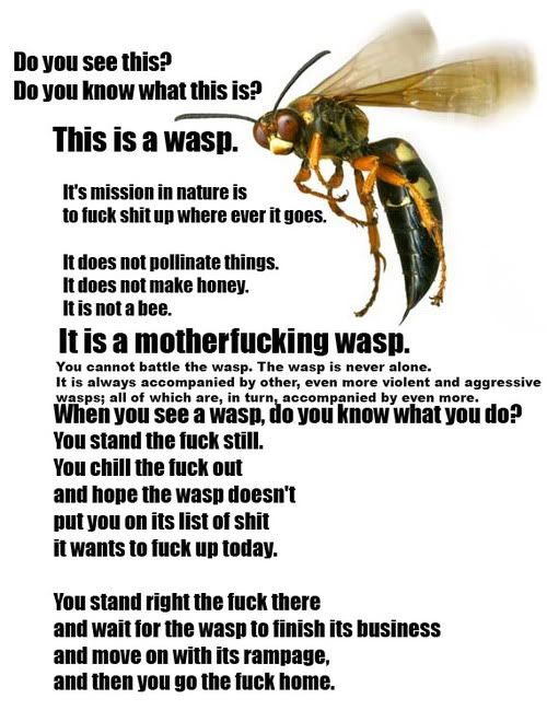 Mentality. Wasps