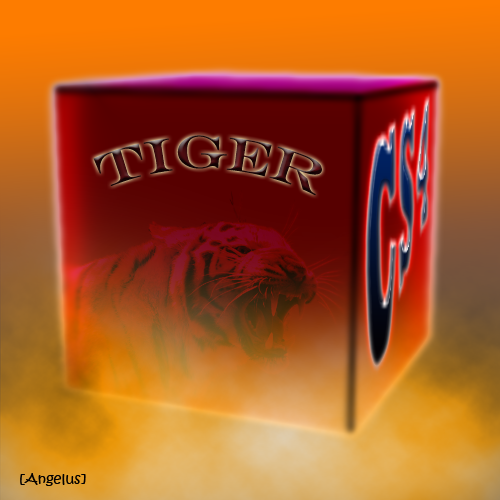 Ma galerie Cube_tigerCS4