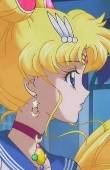 Sailor Selene's Siggies and Avis Updated 8/3/14 Usagi3_zps7c150080