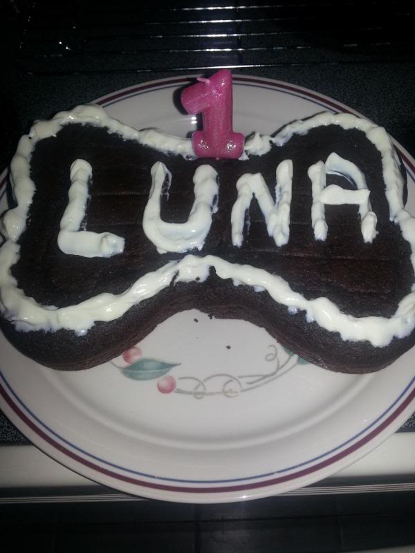 Happy 1st Birthday Luna!! 20130420_101730_zpsb80ba99b