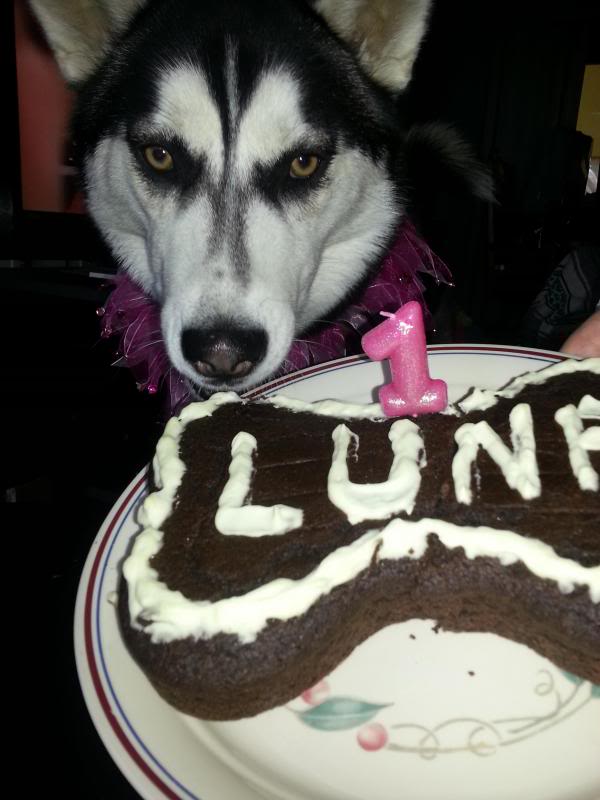 Happy 1st Birthday Luna!! 20130420_171822_zps848c2768