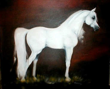 Bijela fantazija White_horse