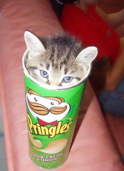 foto comica jajaja Pringles