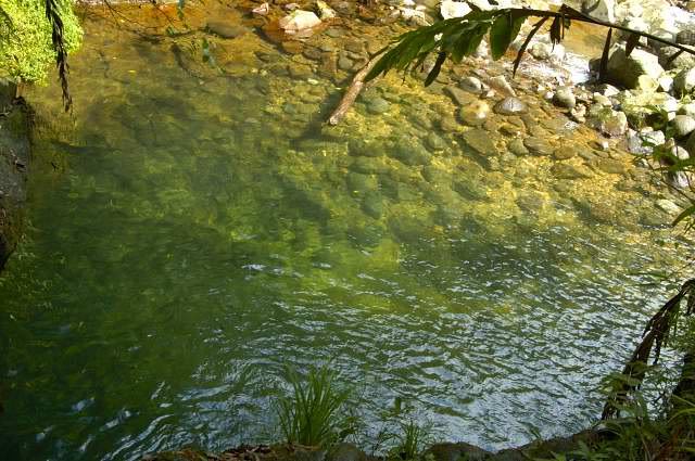 Curug Panjang (   )  NaturalWaterPark1