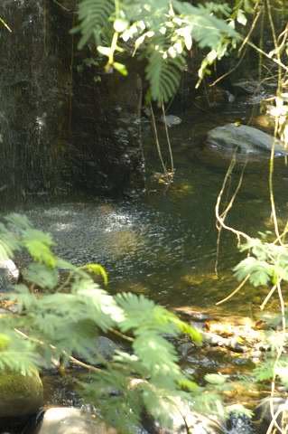 Curug Panjang (   )  NaturalWaterPark5