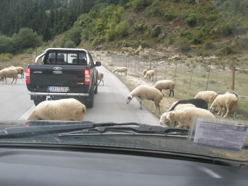 Ελατη, Μετσοβο, Βαλια Καλντα, Νυμφαιο P9180338