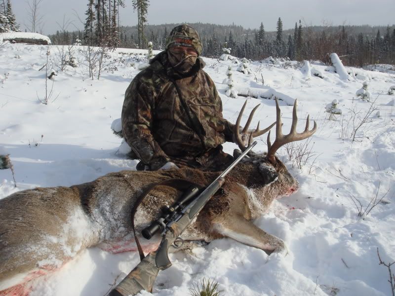 récit de ma chasse en alberta 2010 DSC09868