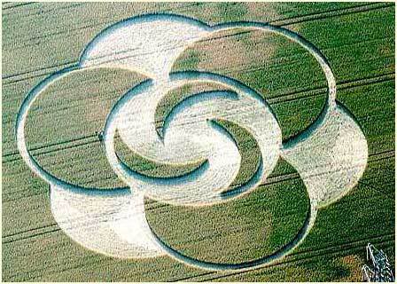 Kiệt tác của người ngoài hành tinh 1Crop_Circles