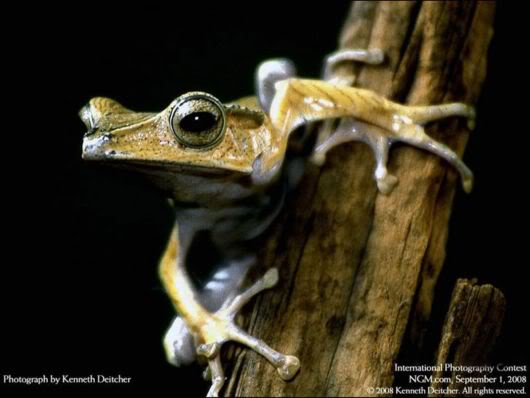 Best International Photography Contest Awards Best_intl_pga_06