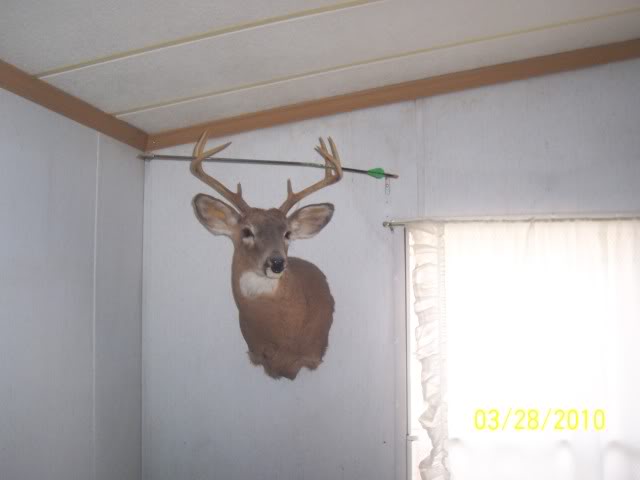 Lets see your deer mounts! 000_2199