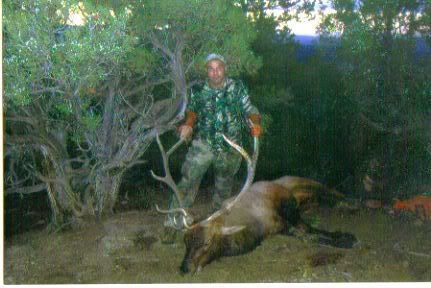 elk my cousin shot Colorado_elk