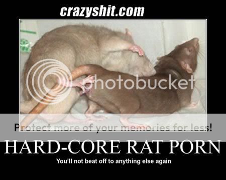 Introduction....(a one word title) 061308_rat_porn