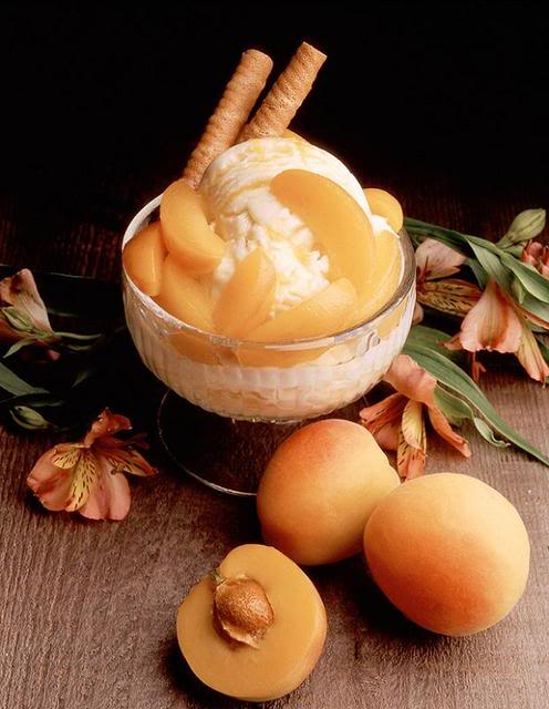 có thực thì mới vục được đạo^^ Apricot_Ice_Cream