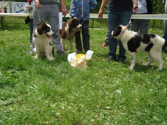 Concursuri organizate de catre CNCCR DSC02875