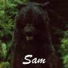 Leen's Perso's Sam_wolf_form