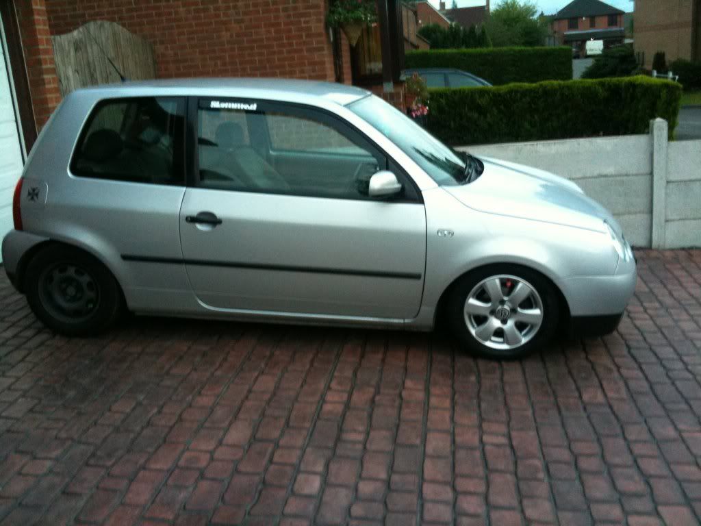 Just another gay lupo.. 287162_10150262201969615_677229614_7847191_1135147_o-1