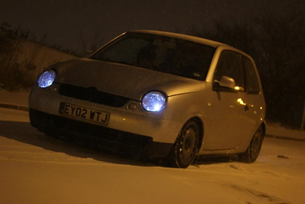 Just another gay lupo.. 411125_2706708067288_1244389424_32347373_1035472490_o