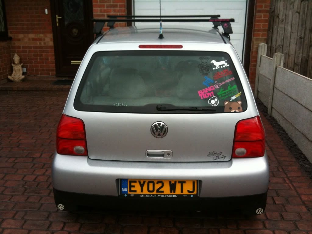 Just another gay lupo.. IMG_1111