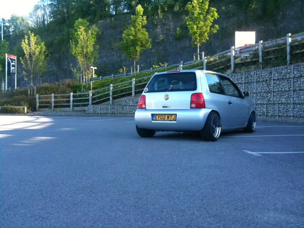 Just another gay lupo.. IMG_1503