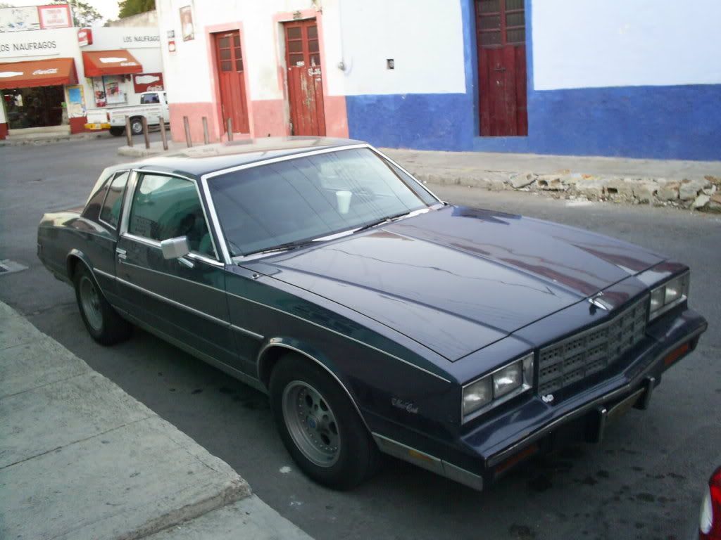 Monte Carlo en Tierras Yucatecas S4023762