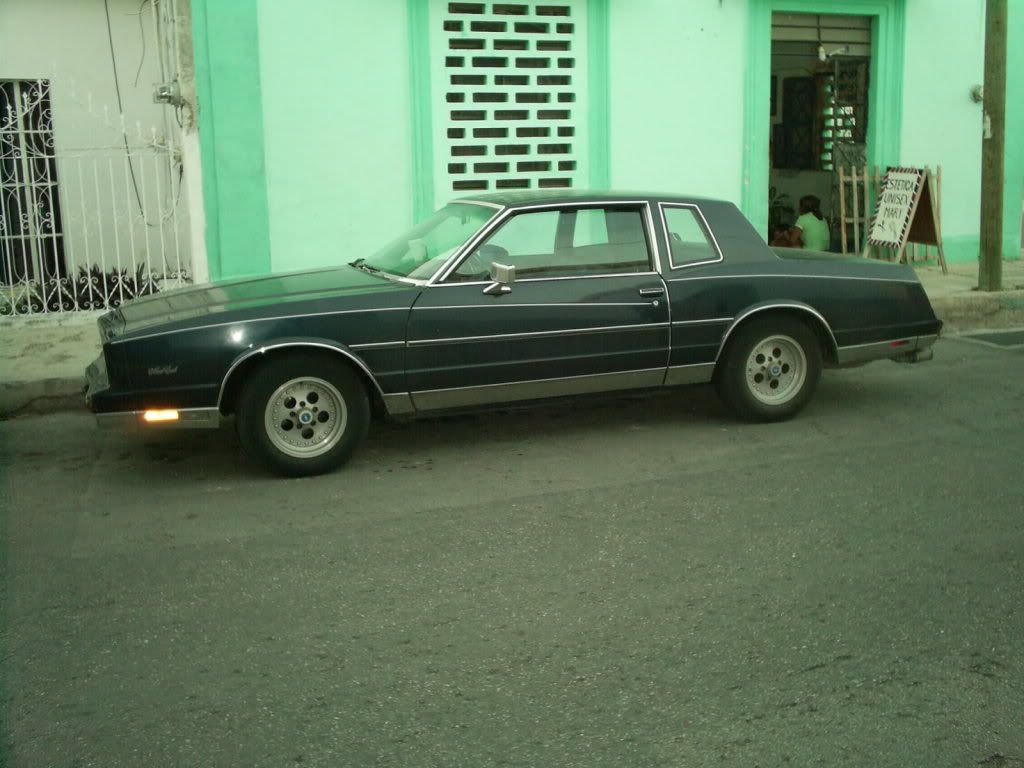 Monte Carlo en Tierras Yucatecas S4023763