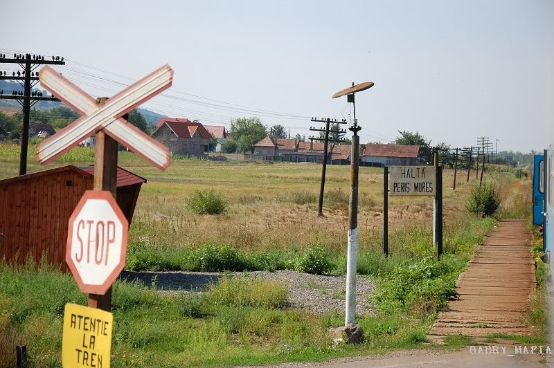 405 : Deda - Targu Mures - Razboieni DSC_83360152800x600