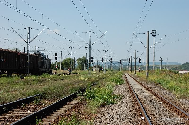 405 : Deda - Targu Mures - Razboieni DSC_84170232800x600