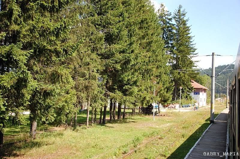 M 400 : Brasov - Miercurea Ciuc - Deda - Baia Mare - Satu Mare - Pagina 2 DSC_89570766800x600