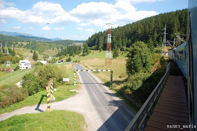 M 400 : Brasov - Miercurea Ciuc - Deda - Baia Mare - Satu Mare - Pagina 2 DSC_89650774800x600