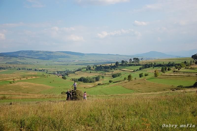 501 : Adjud - Comăneşti - Ghimeş - Siculeni DSC_90870009850x620