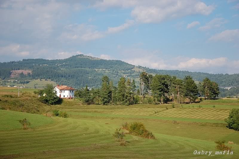 501 : Adjud - Comăneşti - Ghimeş - Siculeni DSC_90880010850x620